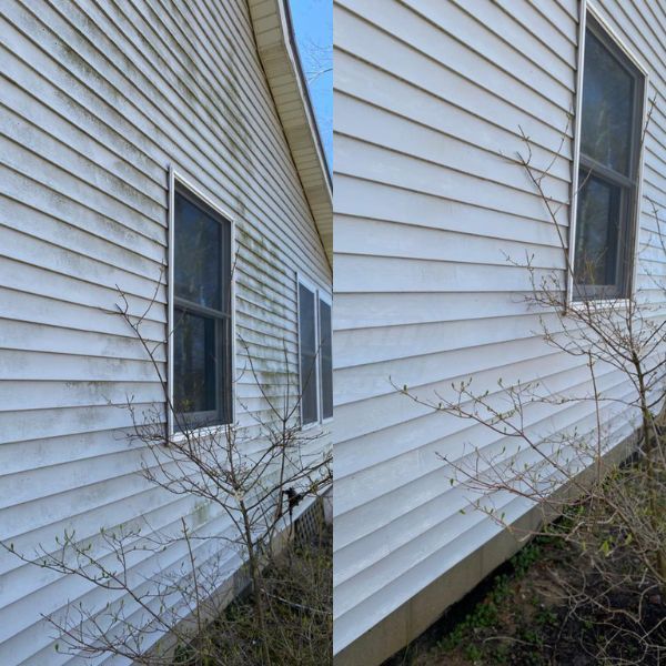 House Pressure Washing Results