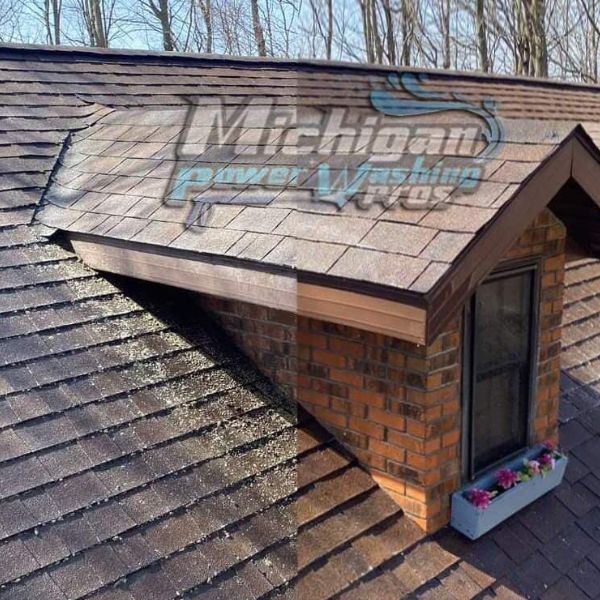 Roof Shingle Cleaning Results