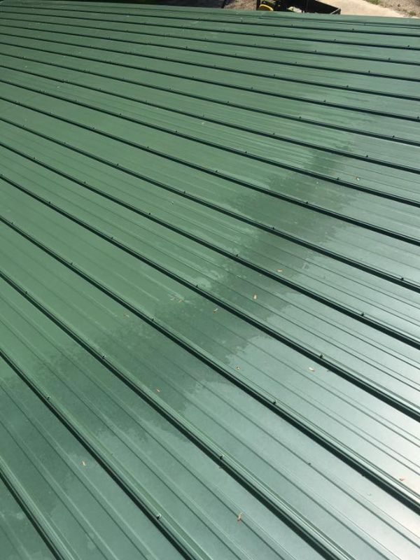 Professional Roof Cleaning Near Me