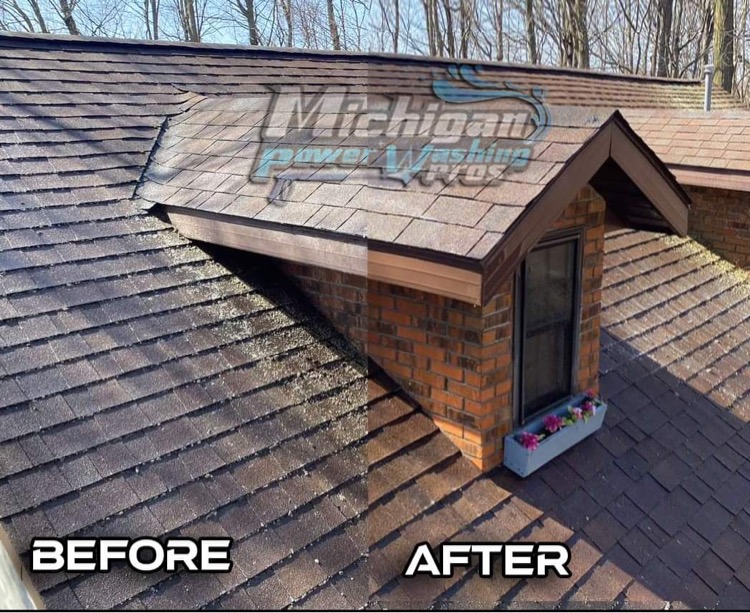 Roof Cleaning Services