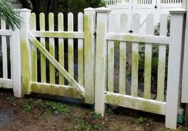 Before Fence Power Washing